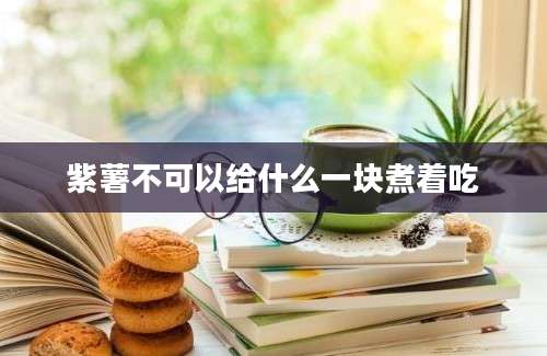 紫薯不可以给什么一块煮着吃