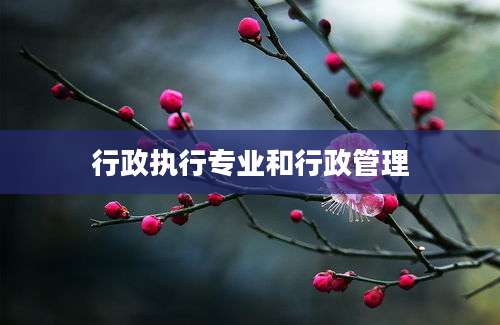 行政执行专业和行政管理