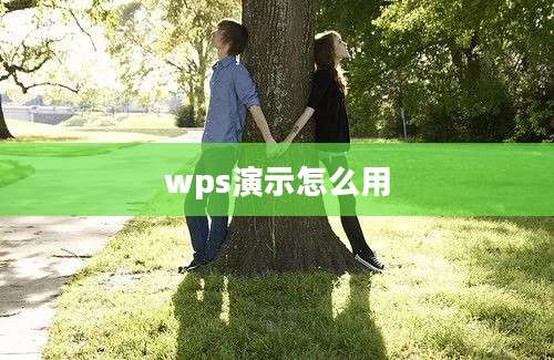 wps演示怎么用