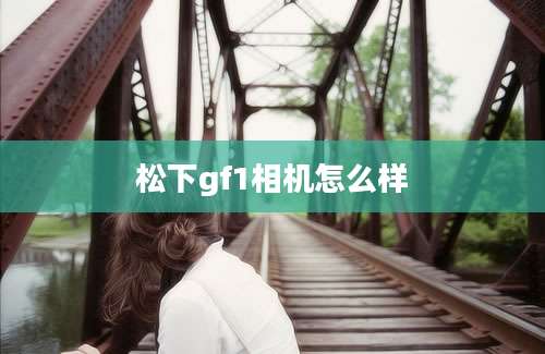 松下gf1相机怎么样