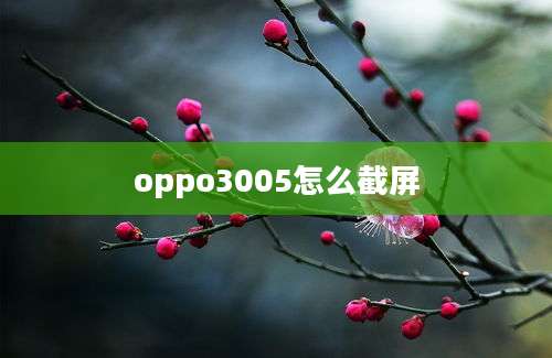 oppo3005怎么截屏