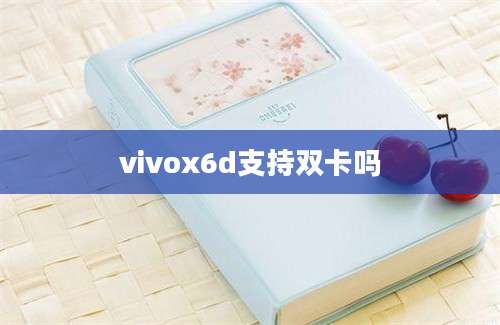 vivox6d支持双卡吗