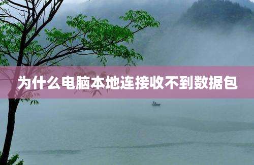 为什么电脑本地连接收不到数据包