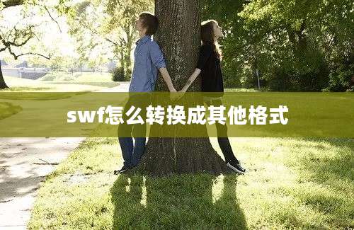 swf怎么转换成其他格式