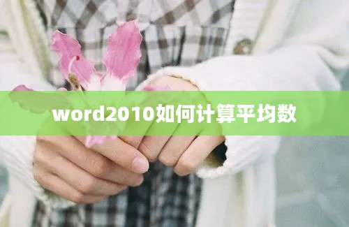 word2010如何计算平均数