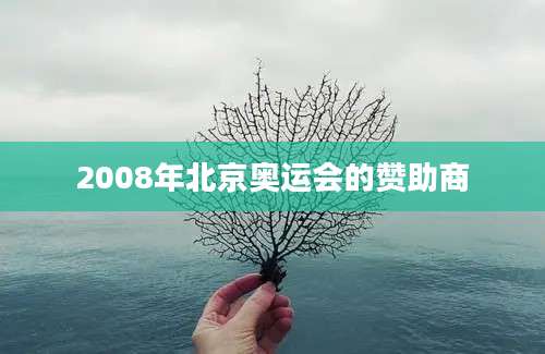 2008年北京奥运会的赞助商