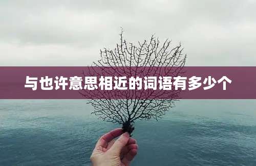 与也许意思相近的词语有多少个