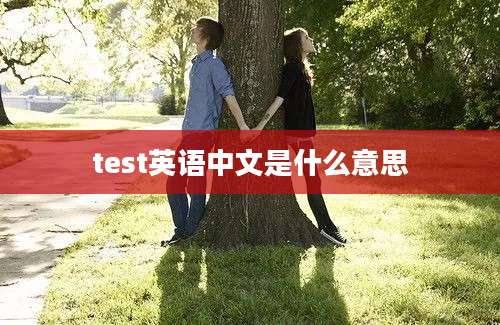 test英语中文是什么意思