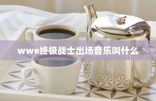 wwe终极战士出场音乐叫什么