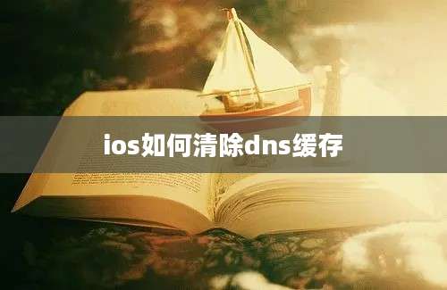 ios如何清除dns缓存