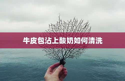 牛皮包沾上酸奶如何清洗