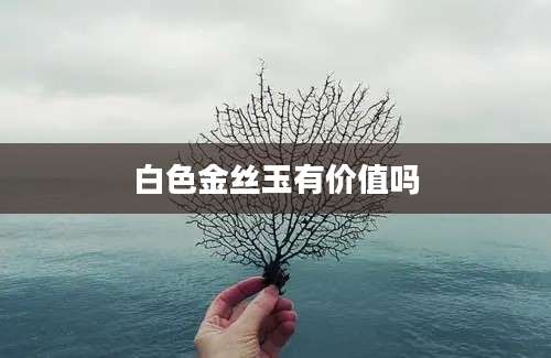 白色金丝玉有价值吗