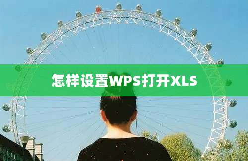 怎样设置WPS打开XLS