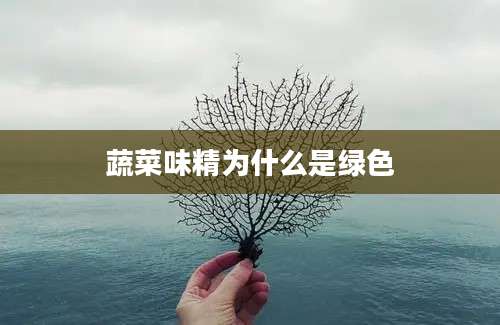 蔬菜味精为什么是绿色