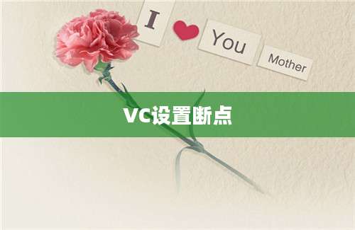 VC设置断点