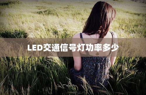 LED交通信号灯功率多少