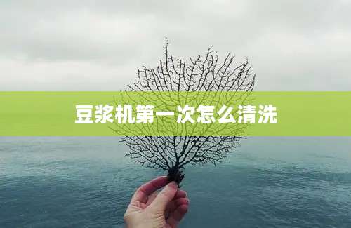 豆浆机第一次怎么清洗