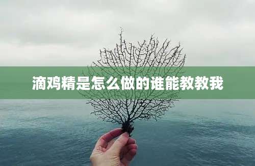 滴鸡精是怎么做的谁能教教我