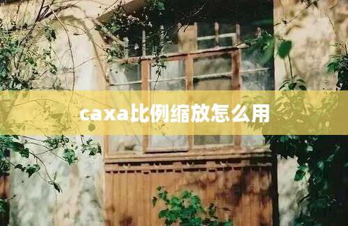 caxa比例缩放怎么用