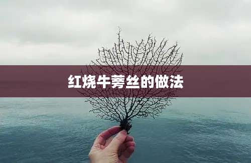 红烧牛蒡丝的做法