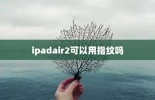 ipadair2可以用指纹吗