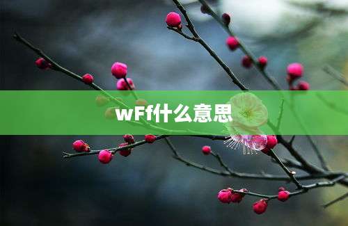 wFf什么意思