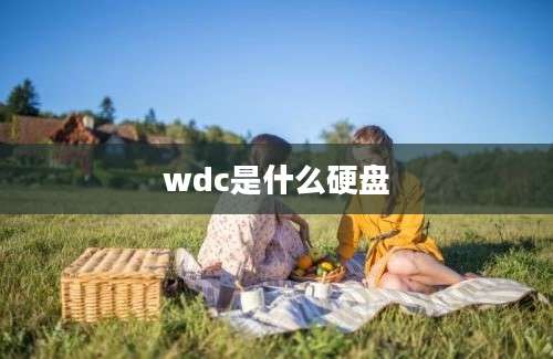 wdc是什么硬盘