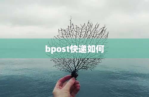 bpost快递如何