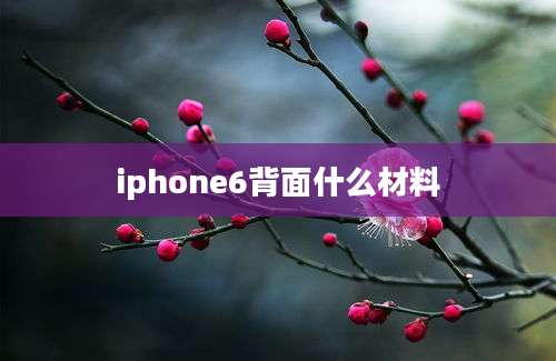 iphone6背面什么材料