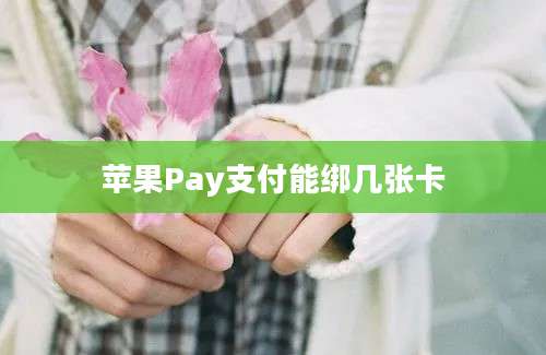 苹果Pay支付能绑几张卡