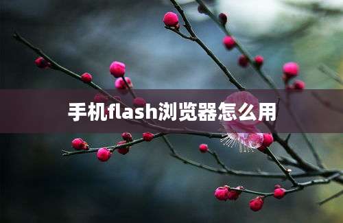 手机flash浏览器怎么用