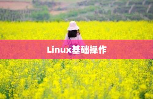 Linux基础操作