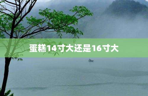 蛋糕14寸大还是16寸大