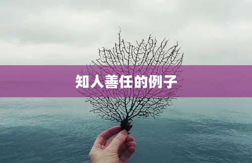 知人善任的例子