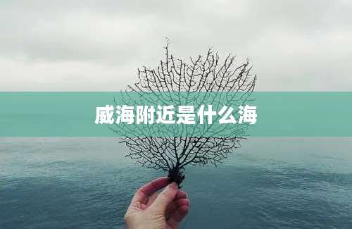 威海附近是什么海