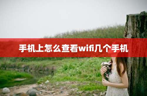 手机上怎么查看wifi几个手机