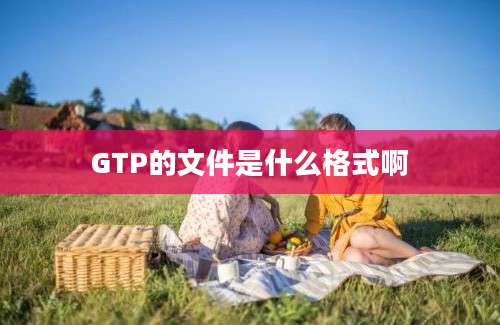 GTP的文件是什么格式啊