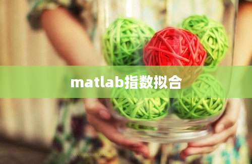 matlab指数拟合