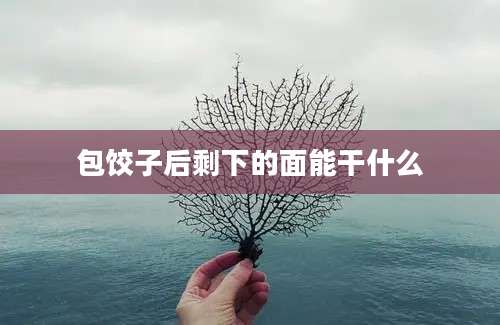 包饺子后剩下的面能干什么