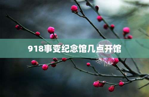 918事变纪念馆几点开馆