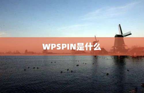 WPSPIN是什么