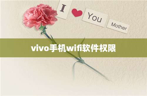 vivo手机wifi软件权限