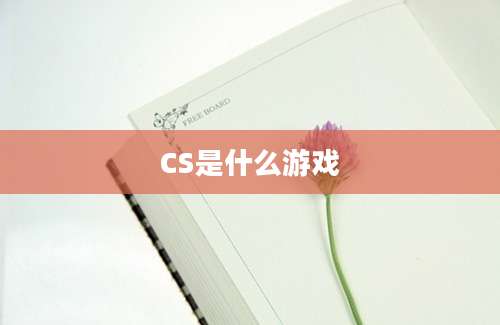 CS是什么游戏