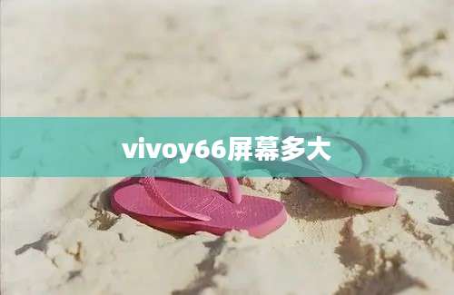 vivoy66屏幕多大