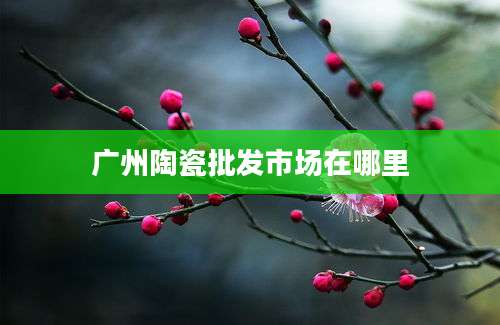 广州陶瓷批发市场在哪里