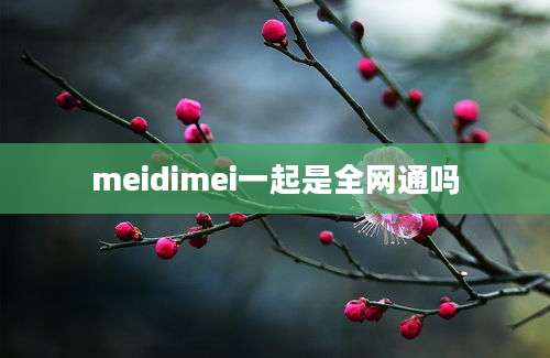 meidimei一起是全网通吗