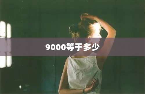 9000等于多少