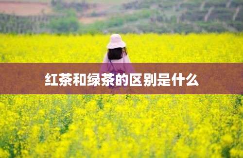 红茶和绿茶的区别是什么