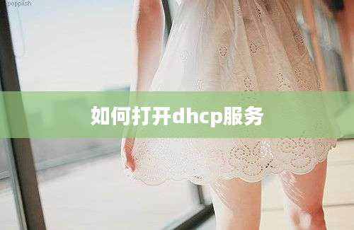 如何打开dhcp服务