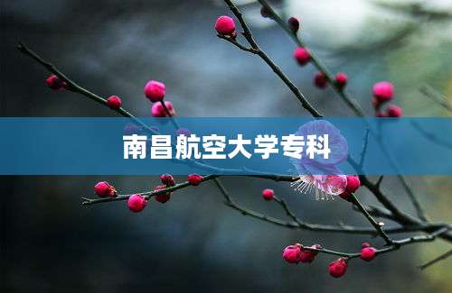 南昌航空大学专科